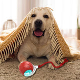 Interactive Self-Rolling Dog Ball – Non-Toxic, Motion-Activated & All Dog Sizes