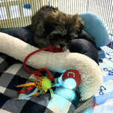 Interactive Self-Rolling Dog Ball – Non-Toxic, Motion-Activated & All Dog Sizes