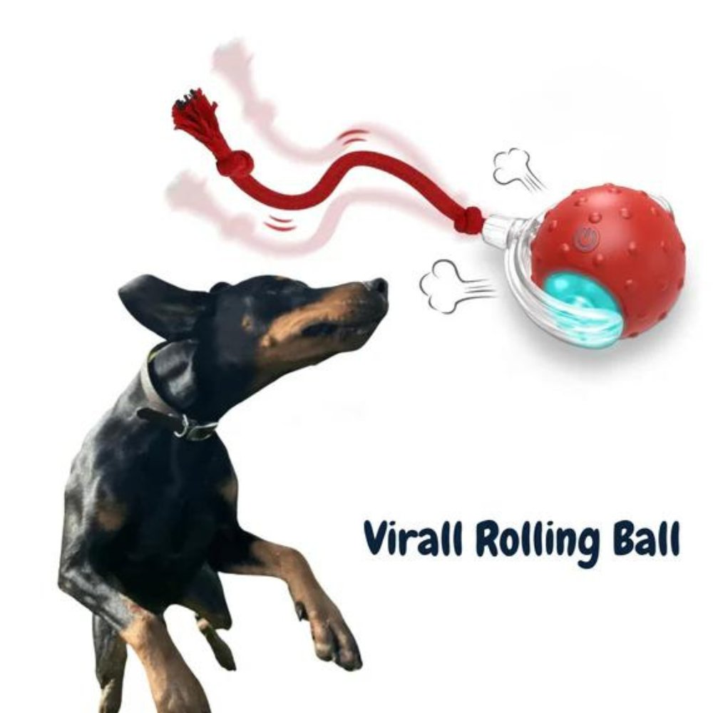 Interactive Self-Rolling Dog Ball – Non-Toxic, Motion-Activated & All Dog Sizes