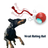 Interactive Self-Rolling Dog Ball – Non-Toxic, Motion-Activated & All Dog Sizes