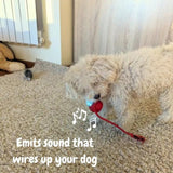 Interactive Self-Rolling Dog Ball – Non-Toxic, Motion-Activated & All Dog Sizes