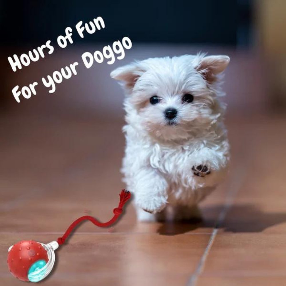 Interactive Self-Rolling Dog Ball – Non-Toxic, Motion-Activated & All Dog Sizes