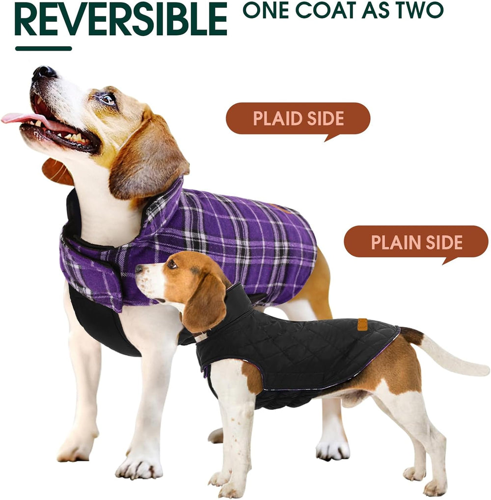 Cozy Waterproof Dog Jacket - Stylish British Winter Coat for Ultimate Warmth & Comfort