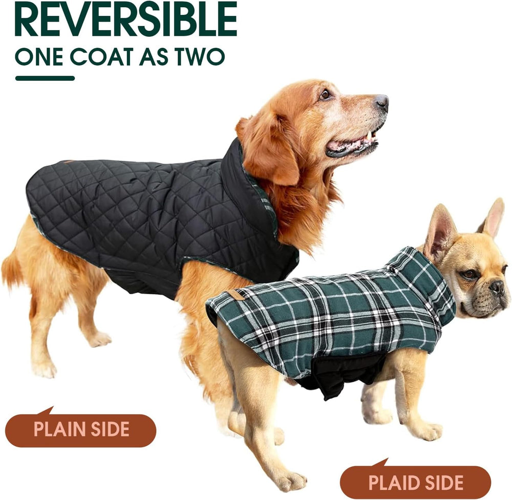 Cozy Waterproof Dog Jacket - Stylish British Winter Coat for Ultimate Warmth & Comfort