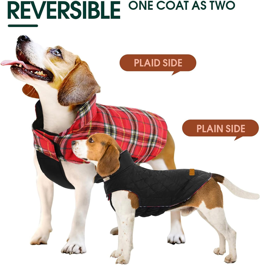 Cozy Waterproof Dog Jacket - Stylish British Winter Coat for Ultimate Warmth & Comfort