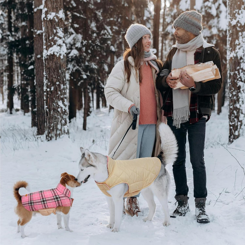 Cozy Waterproof Dog Jacket - Stylish British Winter Coat for Ultimate Warmth & Comfort