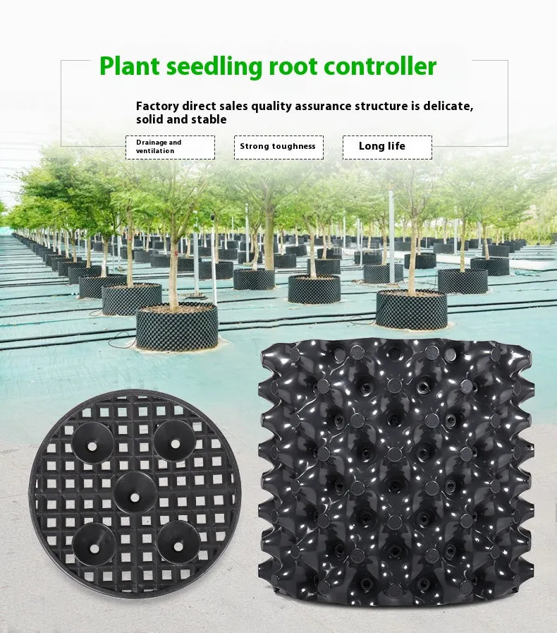 Root Guide System – Weatherproof Black Plastic, 20×20cm & Tool-Free Install