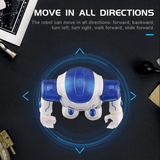 Interactive Educational Robot - NovaBot