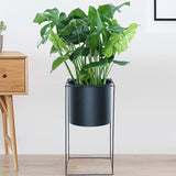 Metal Indoor Plant Stand | Modern Black Rectangular Plant Holder
