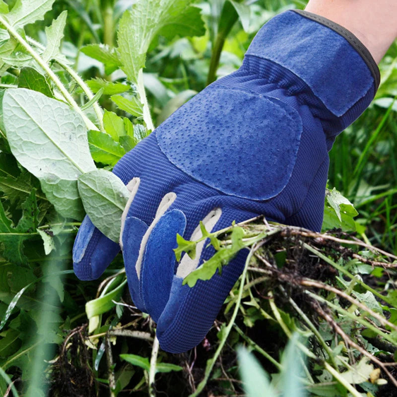 Optimized Product Title: "Robuste Dornenfeste Gartenhandschuhe mit Verstärkter Handfläche für Optimalen Schutz und Komfort" 

This title includes relevant keywords while emphasizing the product's durability and comfort, making it more appealing for potent