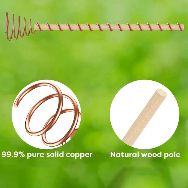 Copper Plant Stakes – 5-Pack, Pure Copper 30cm & Natural Growth Booster