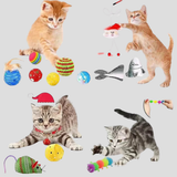 Deluxe Davy Advent Calendar for Cats - 24 Days of Exciting Surprises & Treats