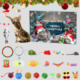Deluxe Davy Advent Calendar for Cats - 24 Days of Exciting Surprises & Treats