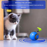 Enhanced Product Title: Davy Automatic Cat Ball Toy - Self-Moving Rolling Play Sphere for Interactive Feline Fun | Engaging Pet Entertainment 

This title includes keywords that enhance searchability while clearly describing the product's features and ben