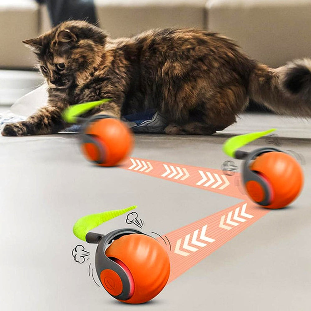 Enhanced Product Title: Davy Automatic Cat Ball Toy - Self-Moving Rolling Play Sphere for Interactive Feline Fun | Engaging Pet Entertainment 

This title includes keywords that enhance searchability while clearly describing the product's features and ben