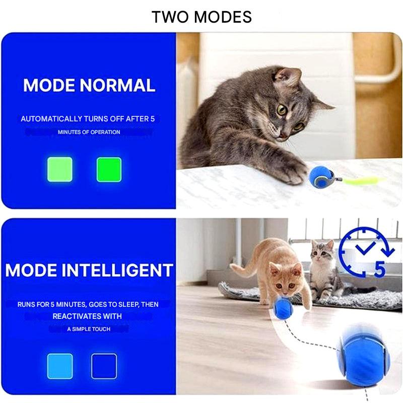 Enhanced Product Title: Davy Automatic Cat Ball Toy - Self-Moving Rolling Play Sphere for Interactive Feline Fun | Engaging Pet Entertainment 

This title includes keywords that enhance searchability while clearly describing the product's features and ben