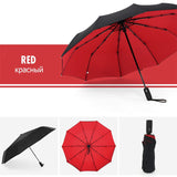 Automatic Reverse Fold Storm Umbrella | Davy - Wind-Resistant, Compact & Easy to Use