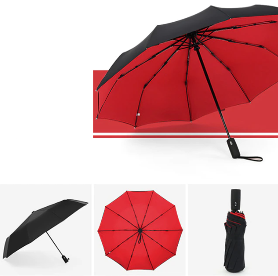 Automatic Reverse Fold Storm Umbrella | Davy - Wind-Resistant, Compact & Easy to Use