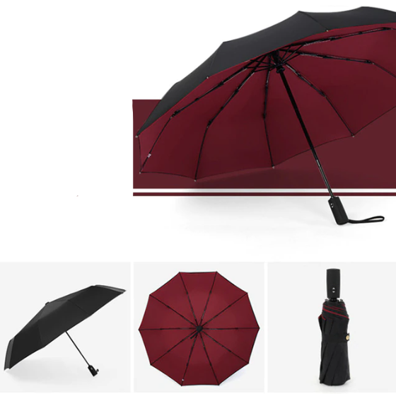 Automatic Reverse Fold Storm Umbrella | Davy - Wind-Resistant, Compact & Easy to Use