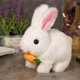 Enhanced Product Title: "Davy CozyHop Bunny Plush Toy - Soft & Cuddly Stuffed Animal for Kids" 

This optimized title includes relevant keywords that can improve visibility in Google Shopping searches while clearly describing the product.