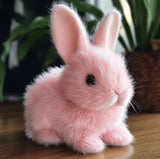 Enhanced Product Title: "Davy CozyHop Bunny Plush Toy - Soft & Cuddly Stuffed Animal for Kids" 

This optimized title includes relevant keywords that can improve visibility in Google Shopping searches while clearly describing the product.