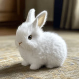 Enhanced Product Title: "Davy CozyHop Bunny Plush Toy - Soft & Cuddly Stuffed Animal for Kids" 

This optimized title includes relevant keywords that can improve visibility in Google Shopping searches while clearly describing the product.