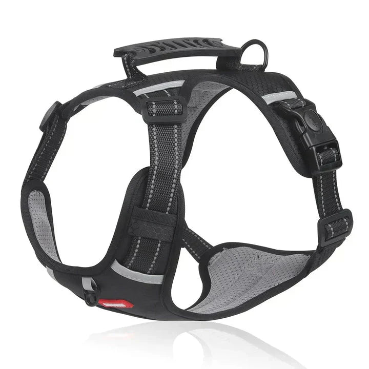 Davy No-Pull Dog Harness | Padded Comfort, Reflective Accents & Adjustable Fit for Ultimate Control