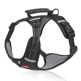 Davy No-Pull Dog Harness | Padded Comfort, Reflective Accents & Adjustable Fit for Ultimate Control
