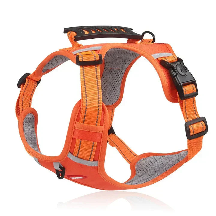 Davy No-Pull Dog Harness | Padded Comfort, Reflective Accents & Adjustable Fit for Ultimate Control