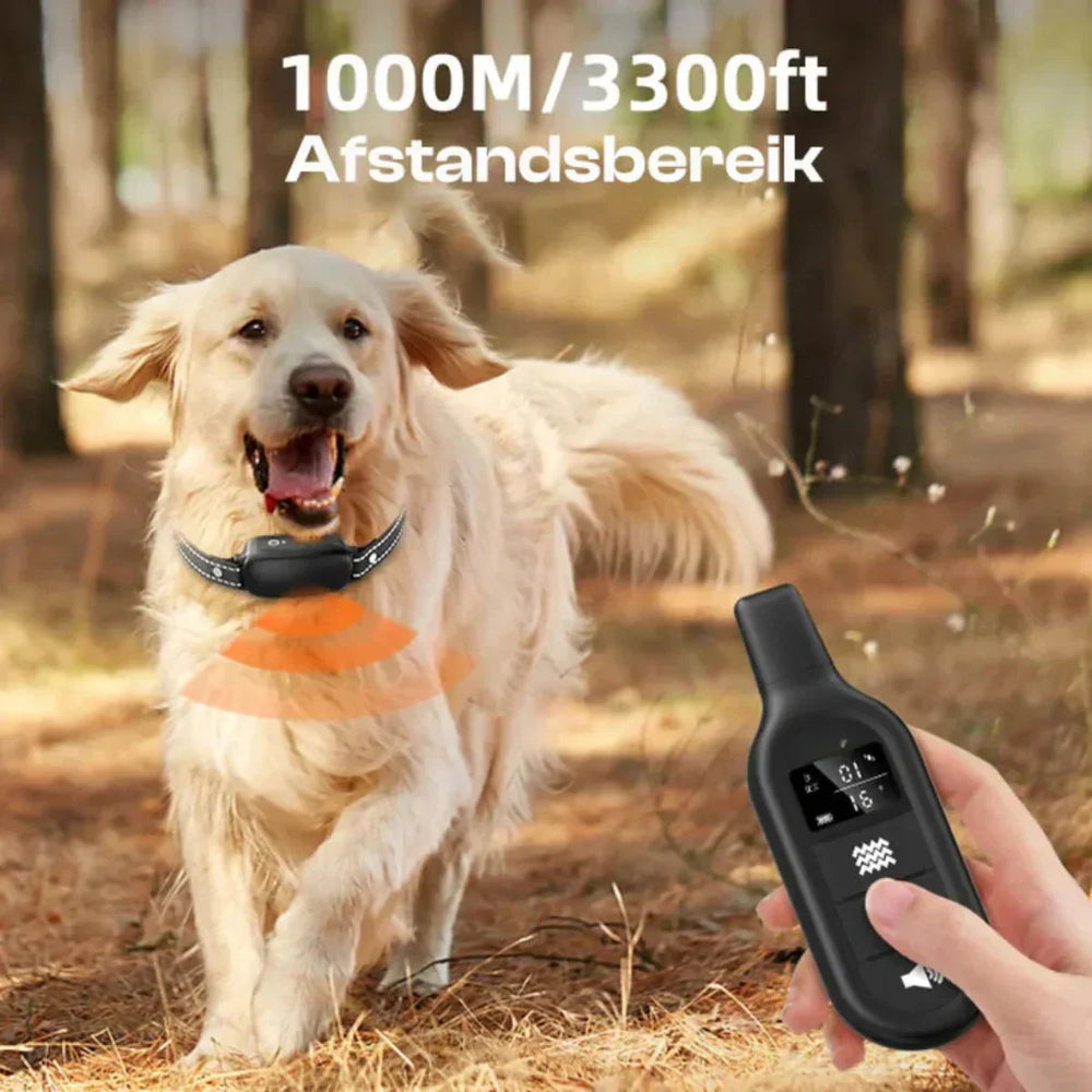 Davy Remote Dog Training Collar - Adjustable, Waterproof, Rechargeable, and Effective Training Solution for All Breeds
