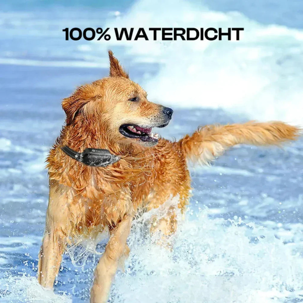 Davy Remote Dog Training Collar - Adjustable, Waterproof, Rechargeable, and Effective Training Solution for All Breeds