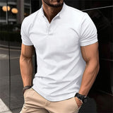 Davy Men's Band Collar Henley Polo Shirt - Stylish & Refined Casual Wear