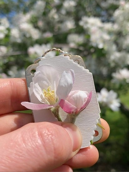 Compact Mini Flower Press by Davy | Portable Botanical Keepsake Maker | Ideal Craft Tool for Flower Preservation