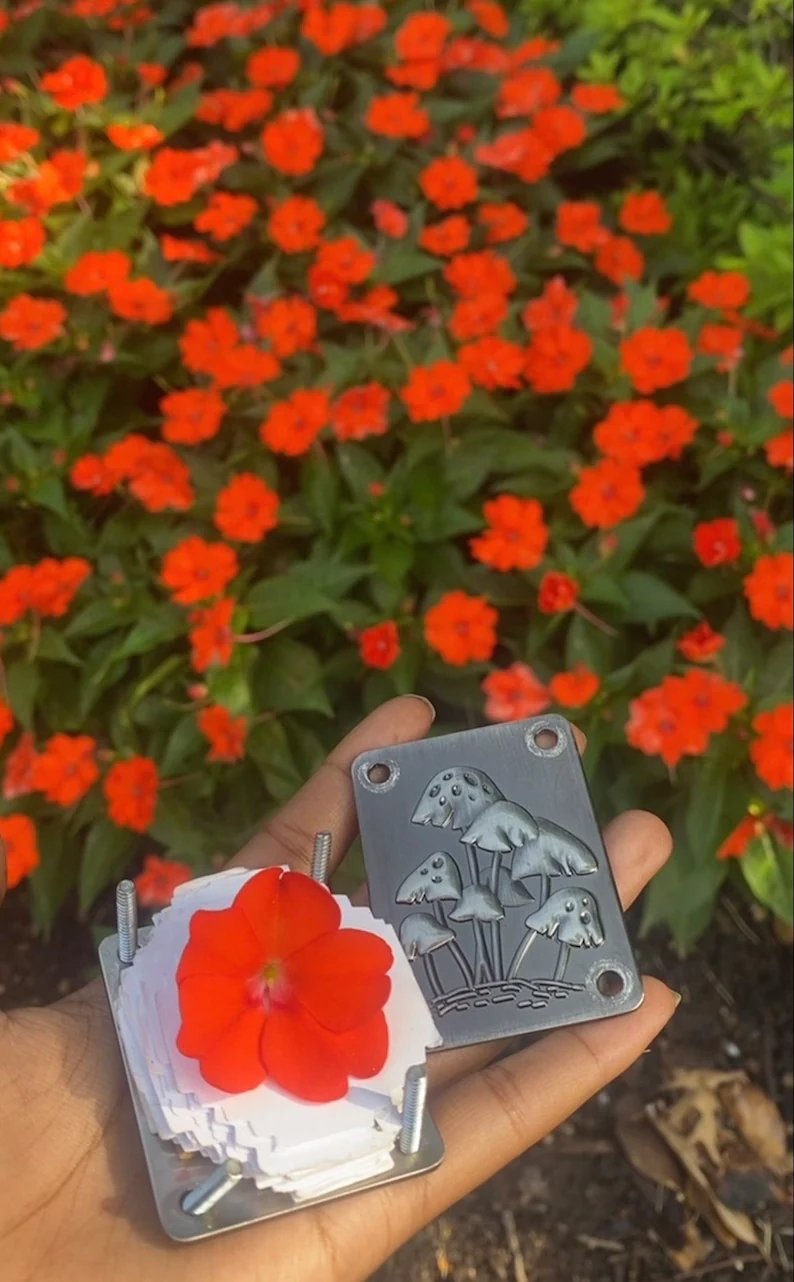 Compact Mini Flower Press by Davy | Portable Botanical Keepsake Maker | Ideal Craft Tool for Flower Preservation