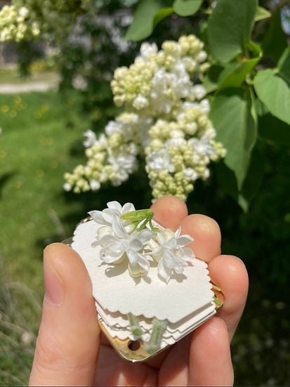 Compact Mini Flower Press by Davy | Portable Botanical Keepsake Maker | Ideal Craft Tool for Flower Preservation