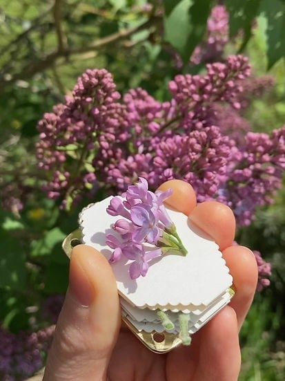 Compact Mini Flower Press by Davy | Portable Botanical Keepsake Maker | Ideal Craft Tool for Flower Preservation