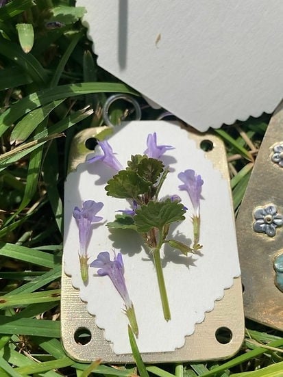 Compact Mini Flower Press by Davy | Portable Botanical Keepsake Maker | Ideal Craft Tool for Flower Preservation