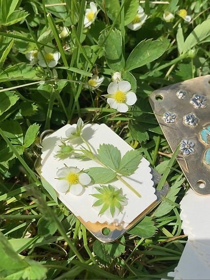Compact Mini Flower Press by Davy | Portable Botanical Keepsake Maker | Ideal Craft Tool for Flower Preservation