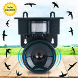 Davy Solar-Powered Motion Sensor Bird Repeller - Eco-Friendly Bird Deterrent for Gardens & Patios