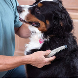 Davy Pet Grooming Tool | Tangle-Free & Knot-Free Solution for Dogs and Cats