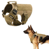 Davy No-Pull Dog Training Harness | Adjustable, Comfortable & Durable for Easy Control