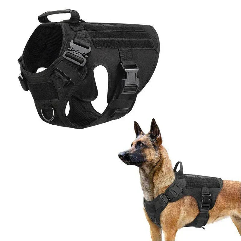 Davy No-Pull Dog Training Harness | Adjustable, Comfortable & Durable for Easy Control