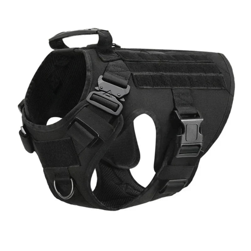 Davy No-Pull Dog Training Harness | Adjustable, Comfortable & Durable for Easy Control