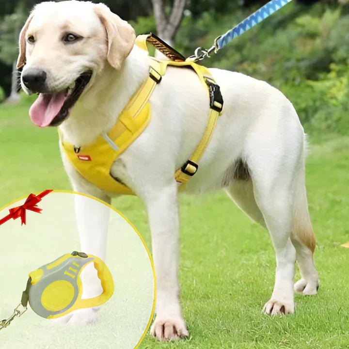 Davy No-Pull Dog Vest - Padded Chest Strap & Reflective Strips for Safety | Comfortable & Adjustable Harness for All Breeds