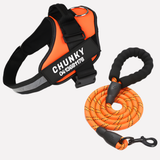 Customizable Davy No-Pull Front-Clip Dog Harness | Perfect Fit for Comfortable Walking