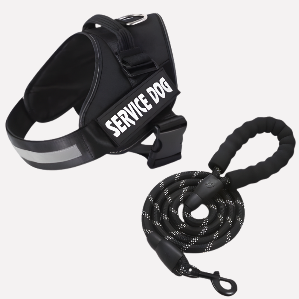 Customizable Davy No-Pull Front-Clip Dog Harness | Perfect Fit for Comfortable Walking