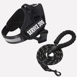 Customizable Davy No-Pull Front-Clip Dog Harness | Perfect Fit for Comfortable Walking