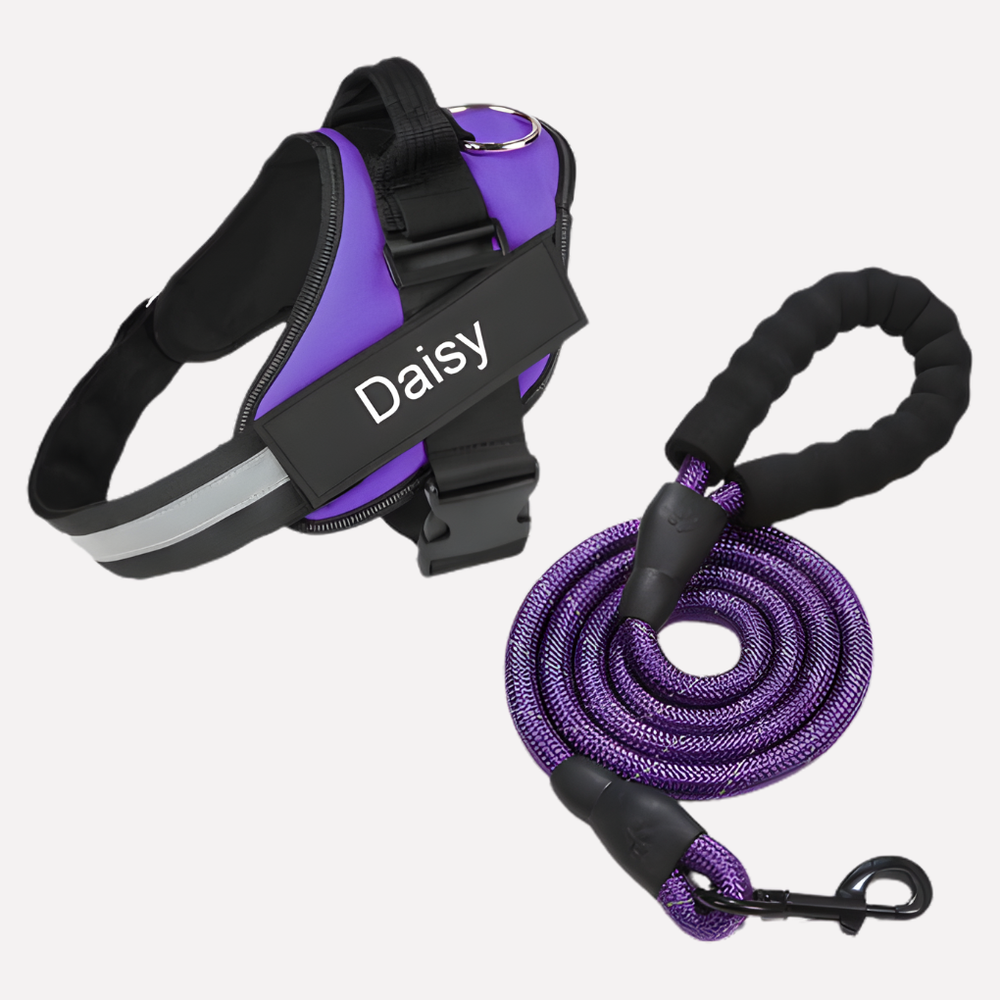 Customizable Davy No-Pull Front-Clip Dog Harness | Perfect Fit for Comfortable Walking