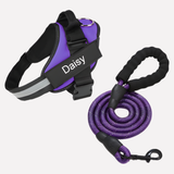 Customizable Davy No-Pull Front-Clip Dog Harness | Perfect Fit for Comfortable Walking
