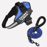 Customizable Davy No-Pull Front-Clip Dog Harness | Perfect Fit for Comfortable Walking